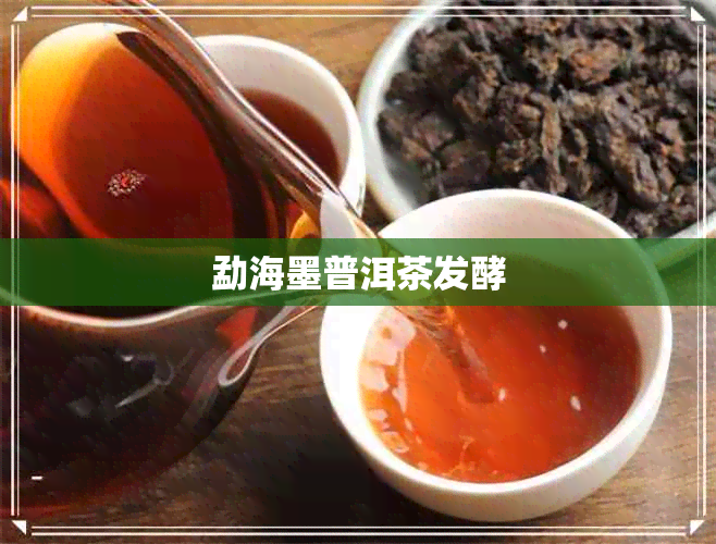 勐海墨普洱茶发酵