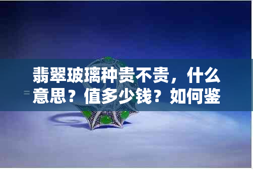 翡翠玻璃种贵不贵，什么意思？值多少钱？如何鉴定价格？