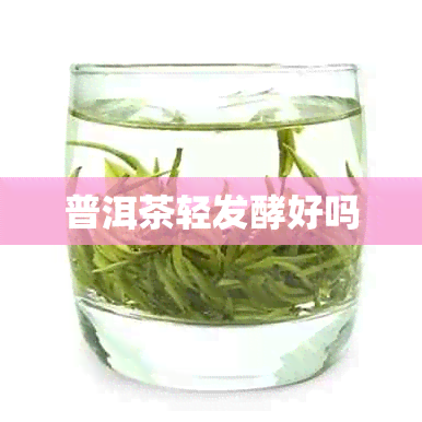 普洱茶轻发酵好吗