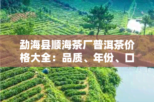 勐海县顺海茶厂普洱茶价格大全：品质、年份、口感及购买渠道一应俱全