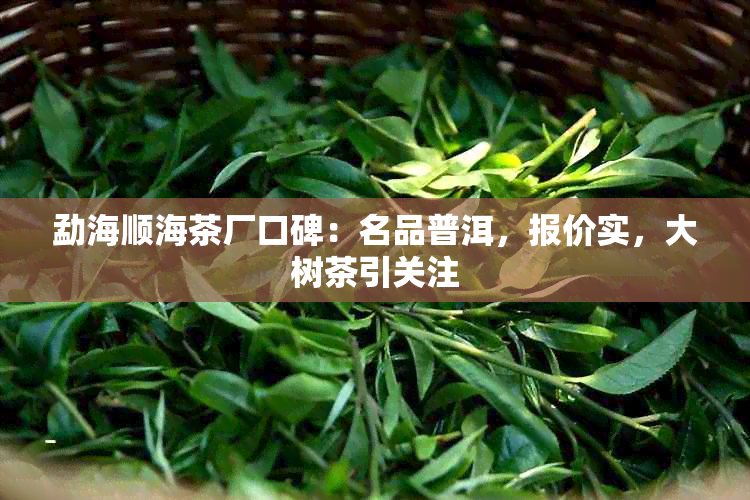 勐海顺海茶厂口碑：名品普洱，报价实，大树茶引关注