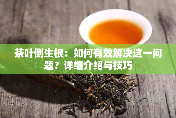 茶叶倒生根：如何有效解决这一问题？详细介绍与技巧