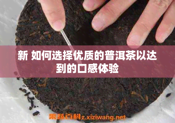 新 如何选择优质的普洱茶以达到的口感体验