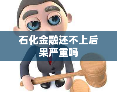 石化金融还不上后果严重吗