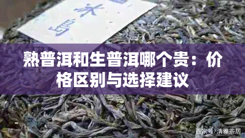 熟普洱和生普洱哪个贵：价格区别与选择建议