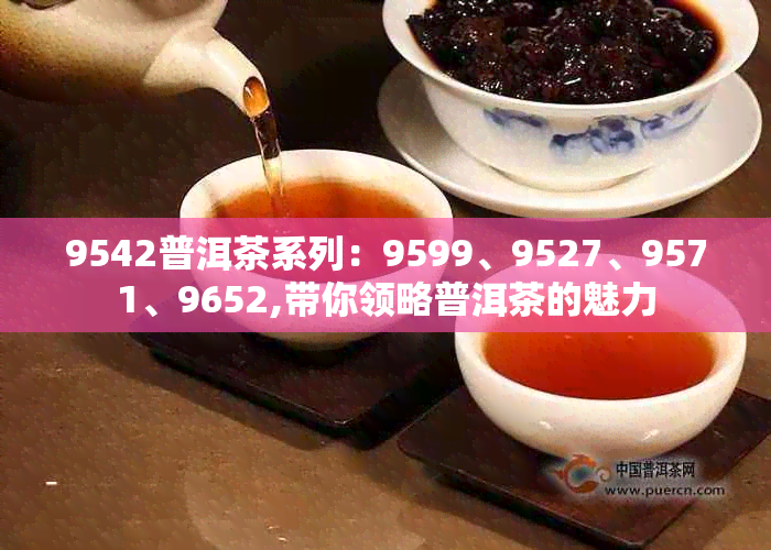 9542普洱茶系列：9599、9527、9571、9652,带你领略普洱茶的魅力