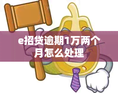 e招贷逾期1万两个月怎么处理