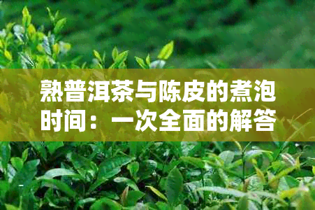 熟普洱茶与陈皮的煮泡时间：一次全面的解答，助你轻松掌握冲泡技巧