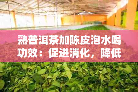 熟普洱茶加陈皮泡水喝功效：促进消化，降低血脂，抗氧化，提高免疫力