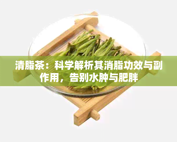 清脂茶：科学解析其消脂功效与副作用，告别水肿与肥胖