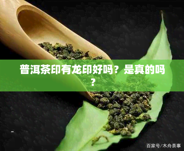 普洱茶印有龙印好吗？是真的吗？