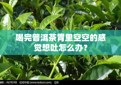 喝完普洱茶胃里空空的感觉想吐怎么办？