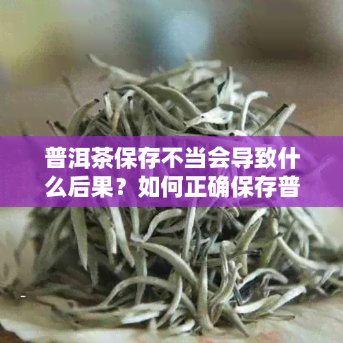 普洱茶保存不当会导致什么后果？如何正确保存普洱茶以保持其品质和口感？