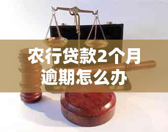 农行贷款2个月逾期怎么办