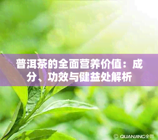 普洱茶的全面营养价值：成分、功效与健益处解析