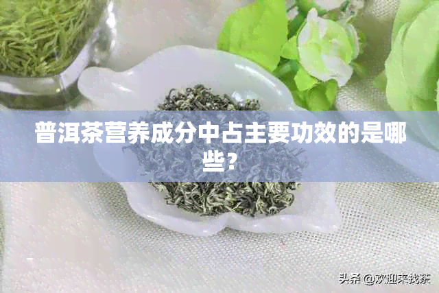 普洱茶营养成分中占主要功效的是哪些？