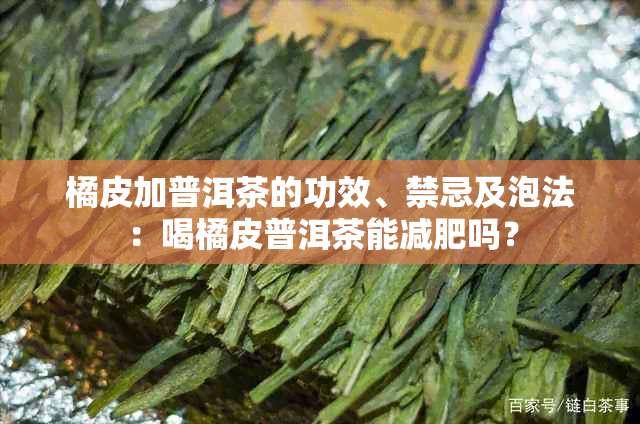 橘皮加普洱茶的功效、禁忌及泡法：喝橘皮普洱茶能减肥吗？