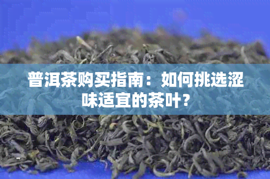 普洱茶购买指南：如何挑选涩味适宜的茶叶？