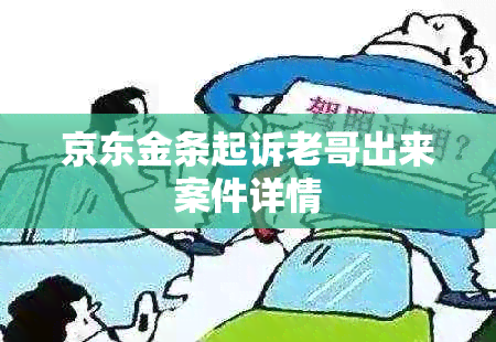 京东金条起诉老哥出来案件详情