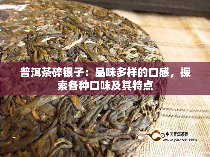 普洱茶碎银子：品味多样的口感，探索各种口味及其特点