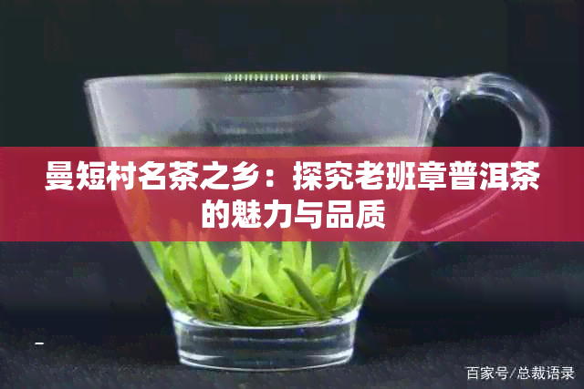 曼短村名茶之乡：探究老班章普洱茶的魅力与品质