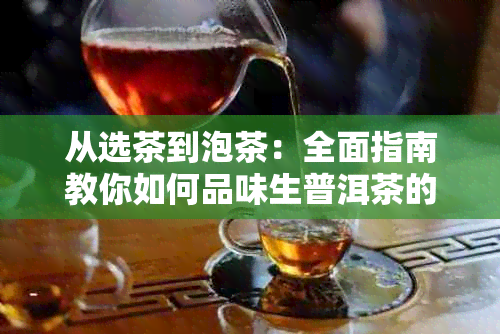 从选茶到泡茶：全面指南教你如何品味生普洱茶的魅力