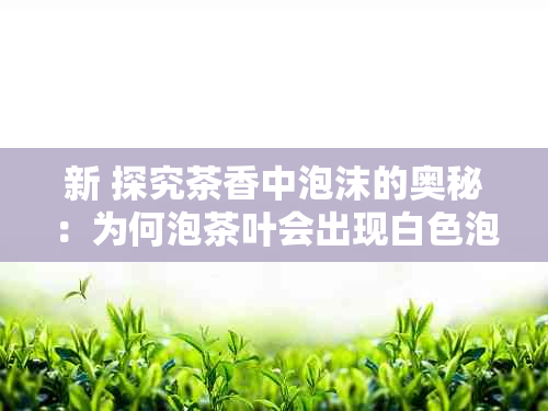 新 探究茶香中泡沫的奥秘：为何泡茶叶会出现白色泡沫？