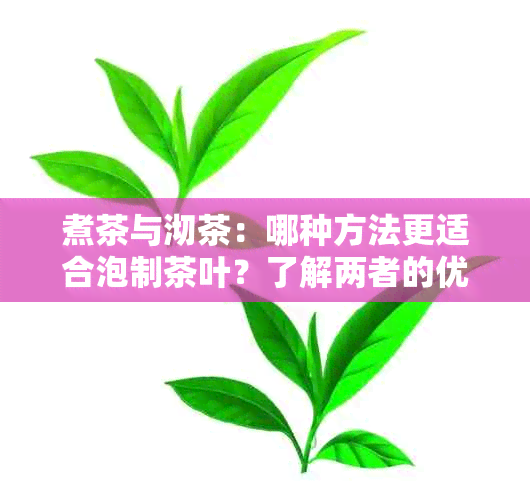 煮茶与沏茶：哪种方法更适合泡制茶叶？了解两者的优缺点以便做出明智选择