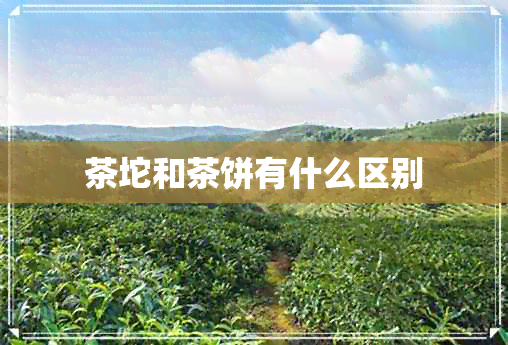 茶坨和茶饼有什么区别