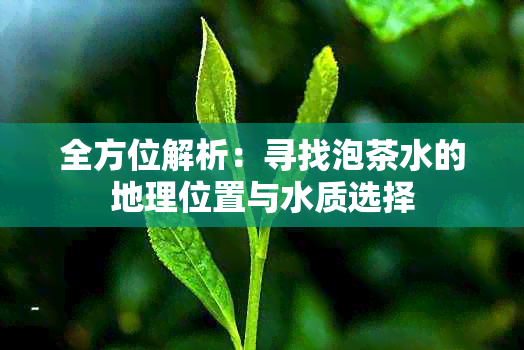 全方位解析：寻找泡茶水的地理位置与水质选择