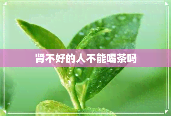 肾不好的人不能喝茶吗