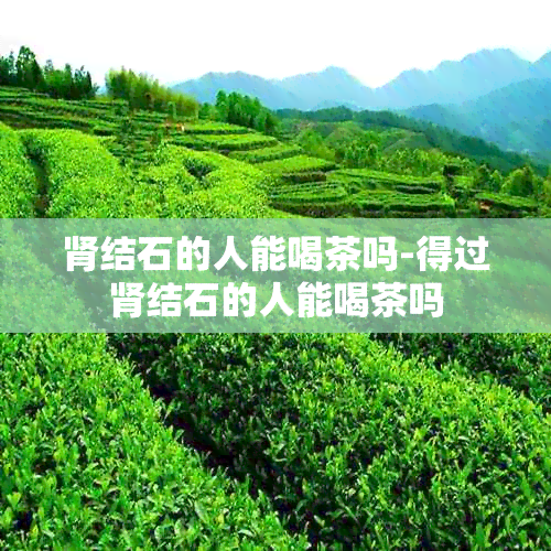 肾结石的人能喝茶吗-得过肾结石的人能喝茶吗