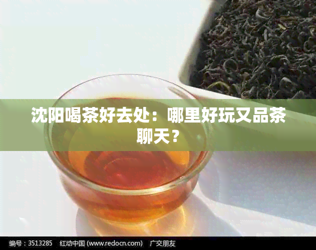 沈阳喝茶好去处：哪里好玩又品茶聊天？