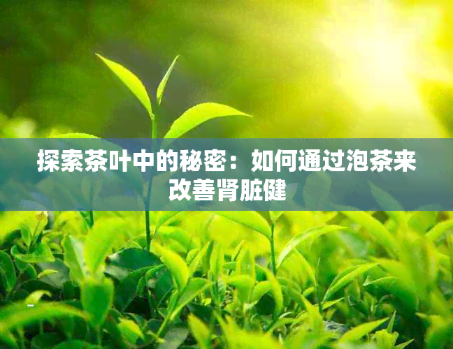 探索茶叶中的秘密：如何通过泡茶来改善肾脏健