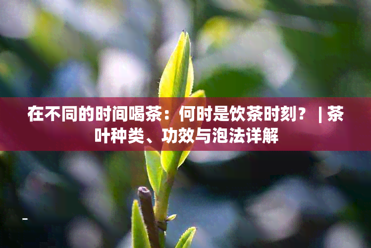 在不同的时间喝茶：何时是饮茶时刻？ | 茶叶种类、功效与泡法详解