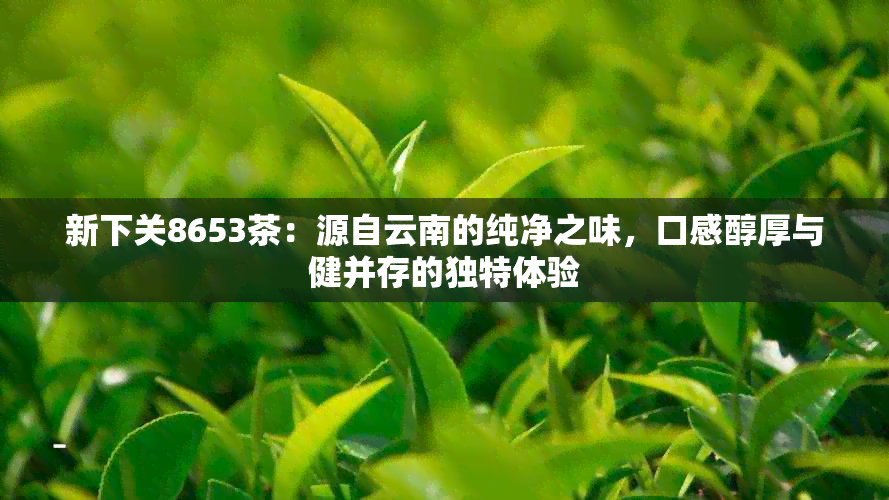 新下关8653茶：源自云南的纯净之味，口感醇厚与健并存的独特体验