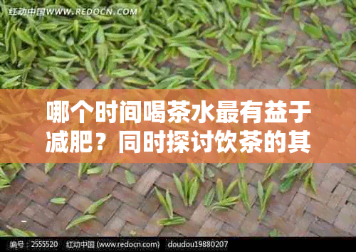 哪个时间喝茶水最有益于减肥？同时探讨饮茶的其他好处与时间