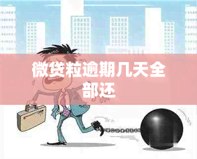 微贷粒逾期几天全部还