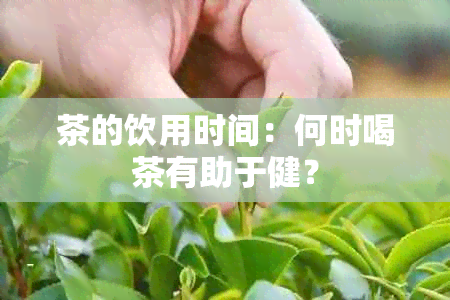 茶的饮用时间：何时喝茶有助于健？