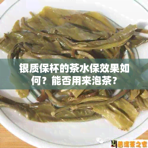 银质保杯的茶水保效果如何？能否用来泡茶？