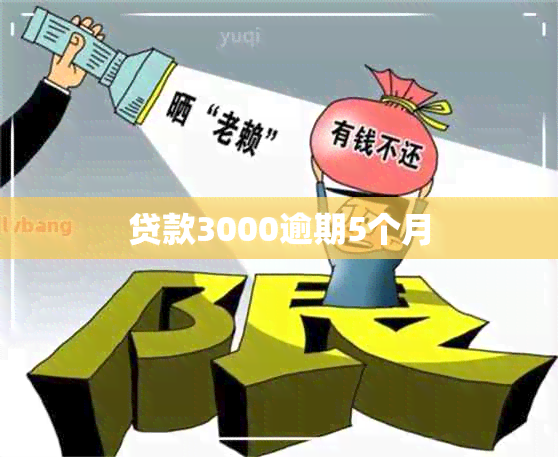 贷款3000逾期5个月