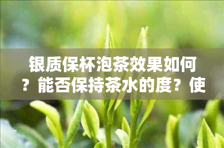 银质保杯泡茶效果如何？能否保持茶水的度？使用过程中需要注意什么？