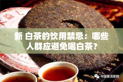 新 白茶的饮用禁忌：哪些人群应避免喝白茶？