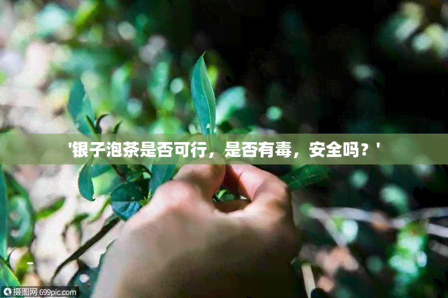 '银子泡茶是否可行，是否有，安全吗？'