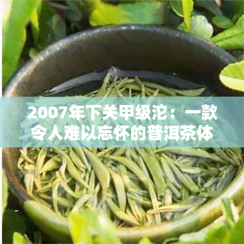 2007年下关甲级沱：一款令人难以忘怀的普洱茶体验