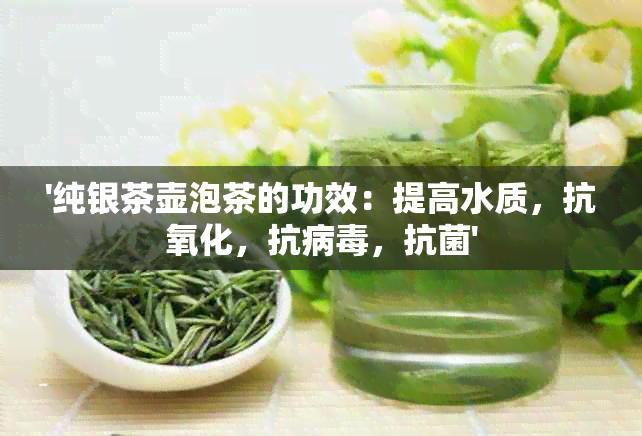 '纯银茶壶泡茶的功效：提高水质，抗氧化，抗病，抗菌'