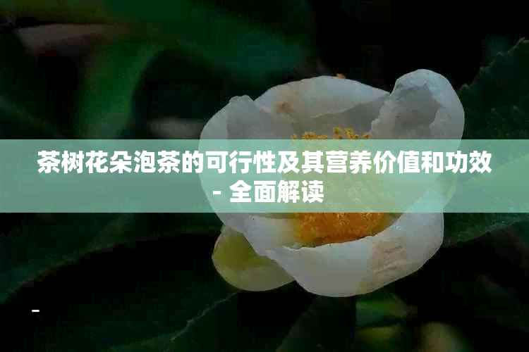 茶树花朵泡茶的可行性及其营养价值和功效 - 全面解读