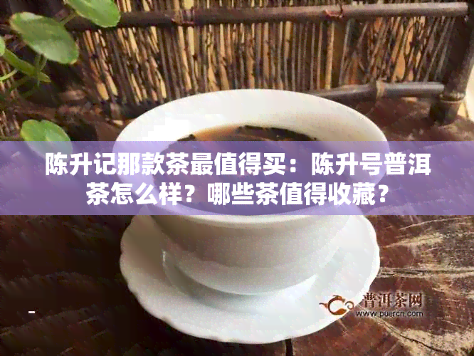 陈升记那款茶最值得买：陈升号普洱茶怎么样？哪些茶值得收藏？