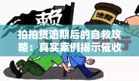 拍拍贷逾期后的自救攻略：真实案例揭示过程的种种困境