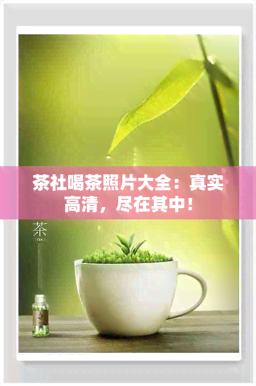 茶社喝茶照片大全：真实高清，尽在其中！